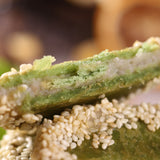 bagger frozen food Taro Cake